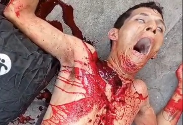 HORRIFYING: You'll Never Guess What Did This