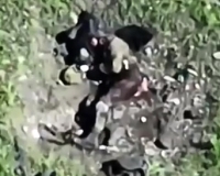 ORC getting hit in ruins of Ukrainian town