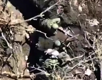 Grenades dropped on ORCs in trench