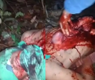 Brutal Stabbings & Evisceration