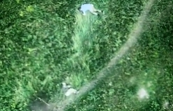 Grenades are dropped on a pair of ORCs in the grass