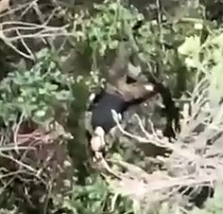 Aftermath of a night artillery attack on ORCs position