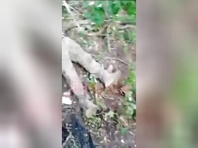 Dead, Wounded and Captured Ukrops