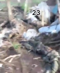 Over 23 KIA ORCs at their captured position