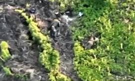 Multiple KIA ORCs after UAF offensive actions