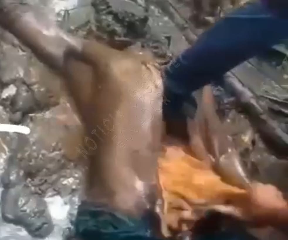 Not Your Average TikTok Video