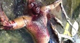 Drowned rotten dead body floating in the river