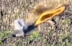 Direct impact on a ORC in a crater