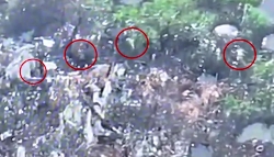 Kamikaze drone steered into ORCs hideout