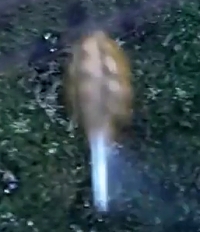 ORCs are hit by an F1 grenade