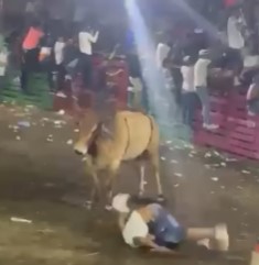 Man killed by bull in Nicaragua