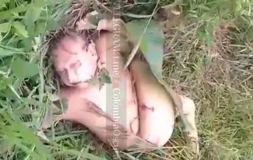 Small plane crushed and fir passengers died 