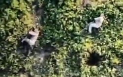 Drones delivering some pain to ORCs crawling around on UA soil