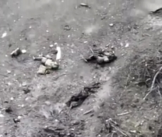 Failed ORCs assault on Klesheevka