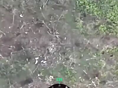 Ukrops Get Hit By Mortar.