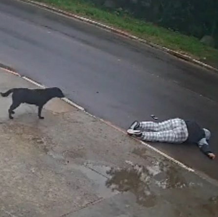 Changed Her Mind too Late