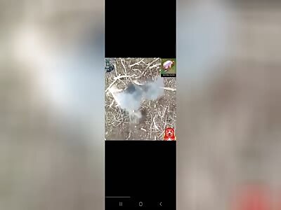 Russian Jewels  Droned Hard