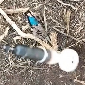 Ukraine Death Comp XVII