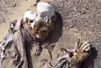 Died trying to crossing dessert 