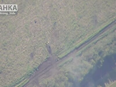 Another Polish KRAB Targeted 