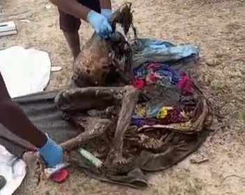 Headless Dead body of old man discovered in forest