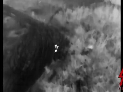 Strike Drone Eliminates Ukrops 