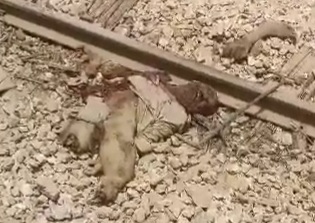 Another victim of the Pakistani crashed train 