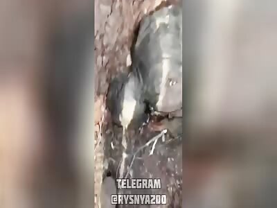 Russian positions taken (corpses included)