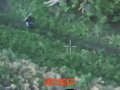 ???? Accurate strike on militants who have settled in the forest belt