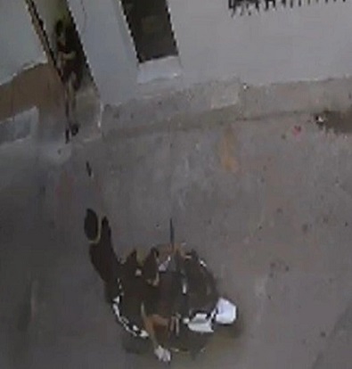 Drive By Execution With Multiple Gun Shots In Turkey