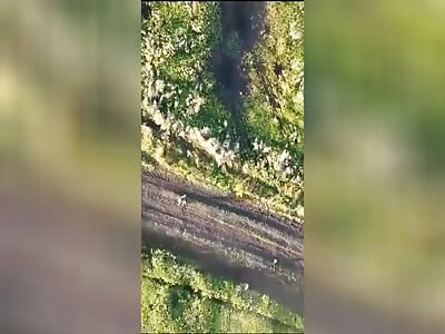 UA drone finishes off a Russian soldier