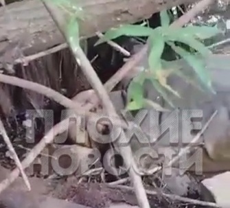 workers found the disfigured corpse of an unknown man: he had no face