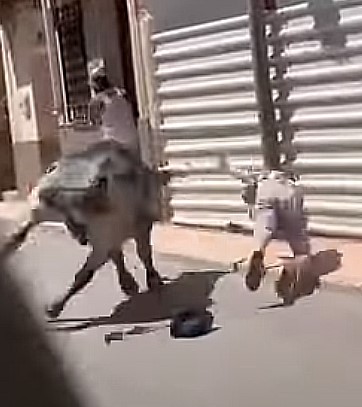 Front Exit Worm Son of a Bitch