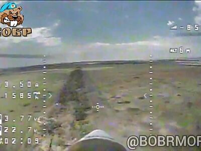 FPV Strikes Ukrop Troops 