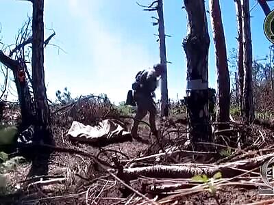 Ukrainian mortar working on Russians