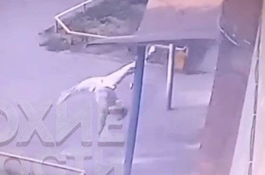 Depressed Girl Commits Suicide after Break up