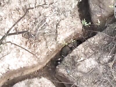 More dead Russian soldiers