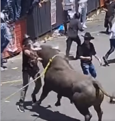 one person dead and several injured at the mexican festival