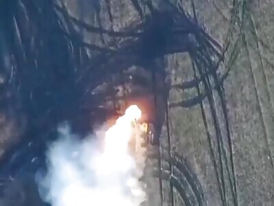 Polished Supplied KRAB Burned By Lancet 