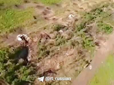 FPV Drone Strikes Ukrops in The Robatino Area