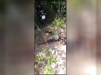 COMMON DAYS IN BRAZIL PART 5