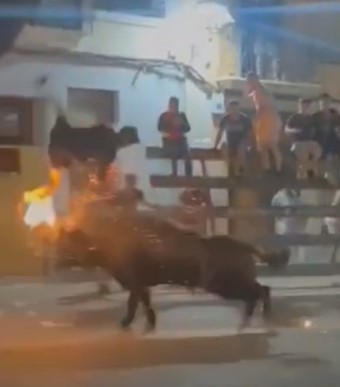 Bulls Horns Set on Fire but Still Destroys these Idiots.