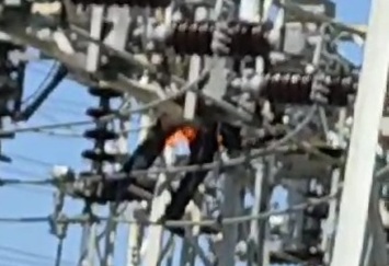 Worker Sizzled to Death... DAMN, is that Sound the Sizzle?