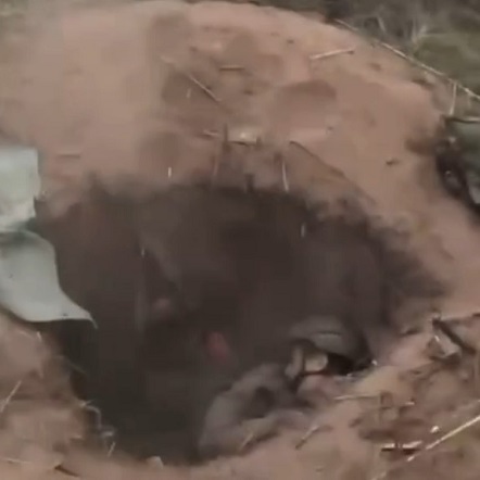 Ukrainian soldiers wipe out invaders in Kreminna forests