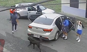 A girl was kidnapped in Quevedo, the swamp sector. Delinquents arrived