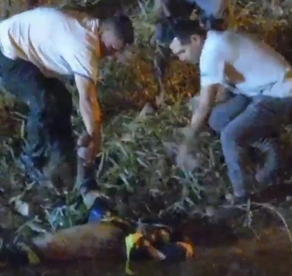 Gang member tortellini and drowned in river