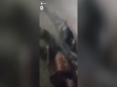 DAMN: It Took about 100 Bullets to Finally Kill Rival