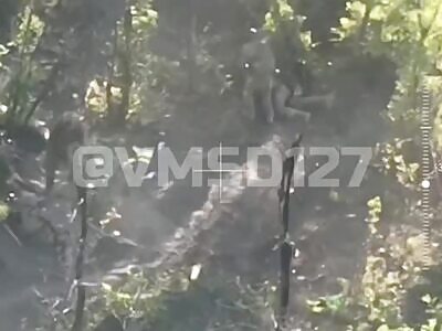 ???? Accurate work of our artillery in the Priyutnoye area.