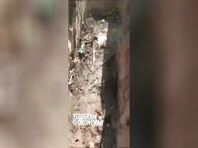 Spiderman fights in Ukraine