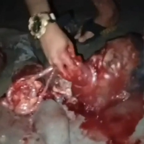 Savageness in the Favelas.. Taking Trophy (Full)